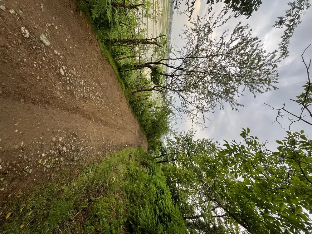 تصویر املاک 122176