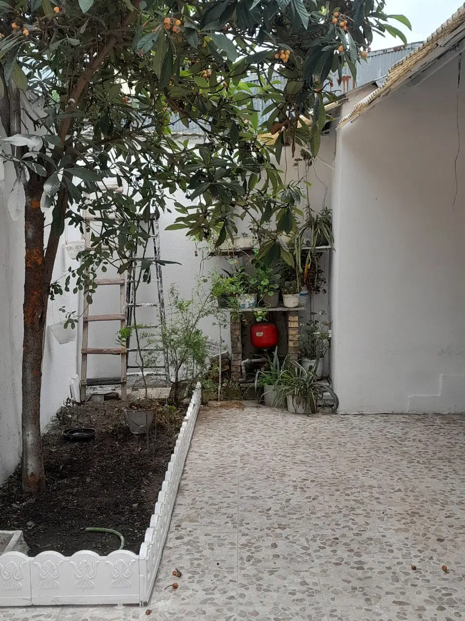 تصویر املاک 114710