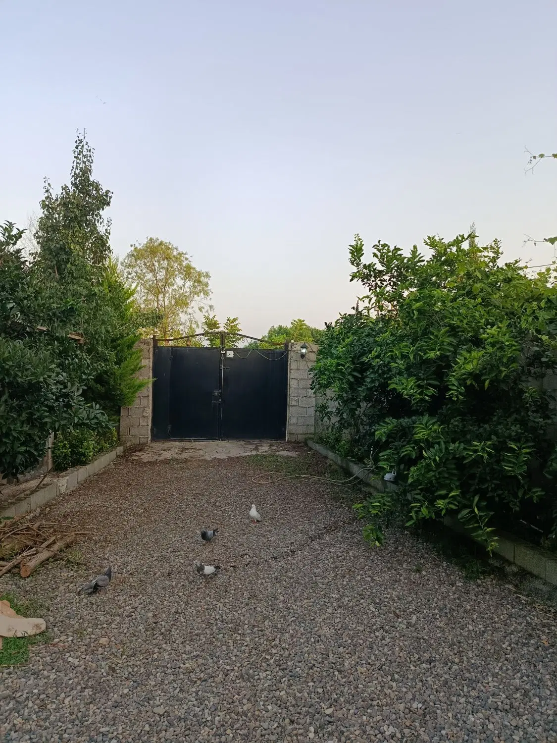 تصویر املاک 74990