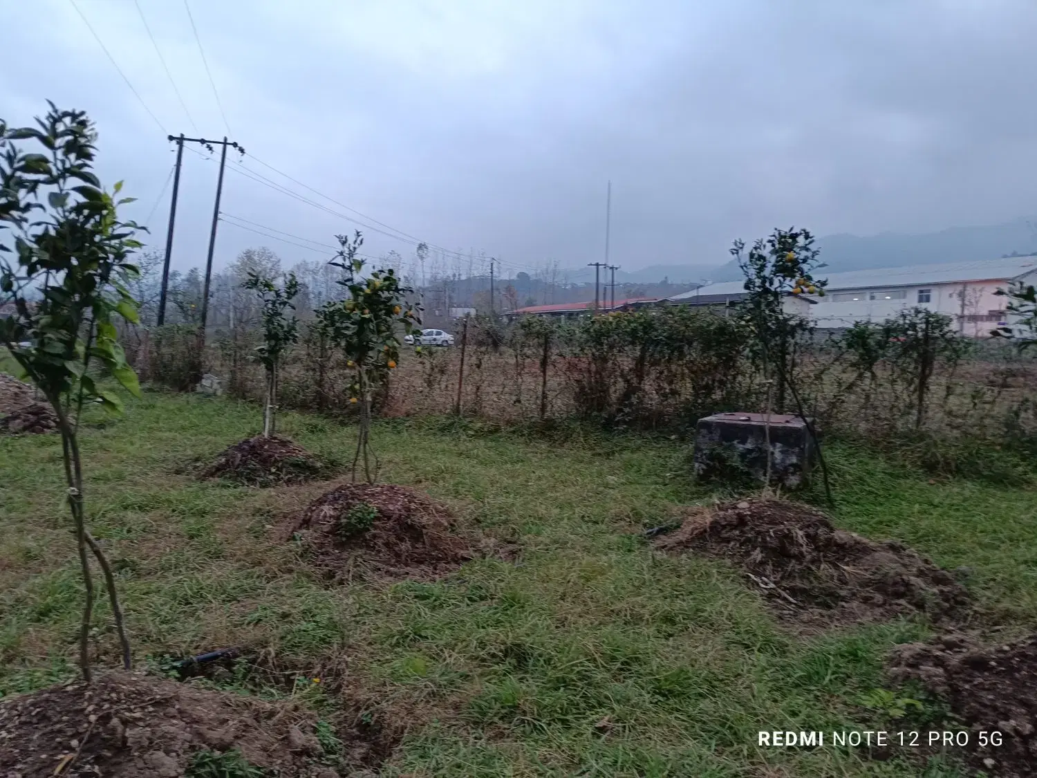 تصویر املاک 125548
