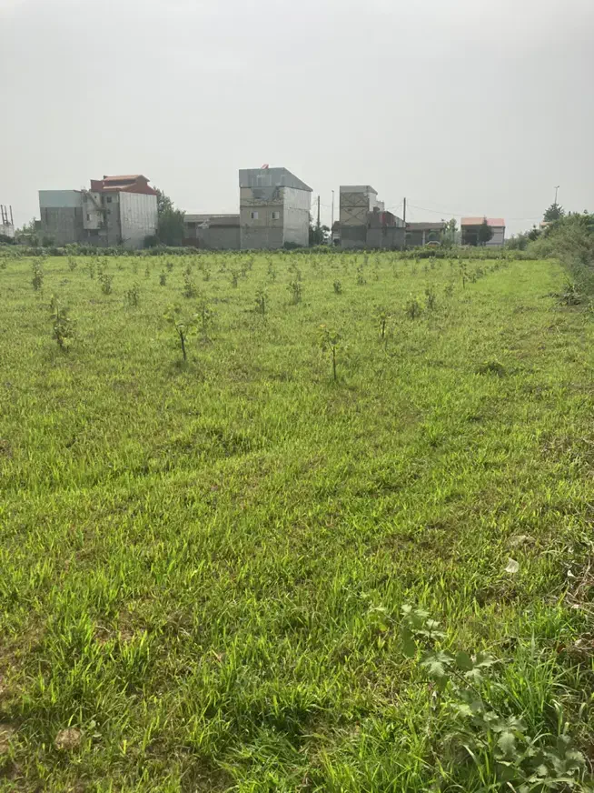 تصویر املاک 23165
