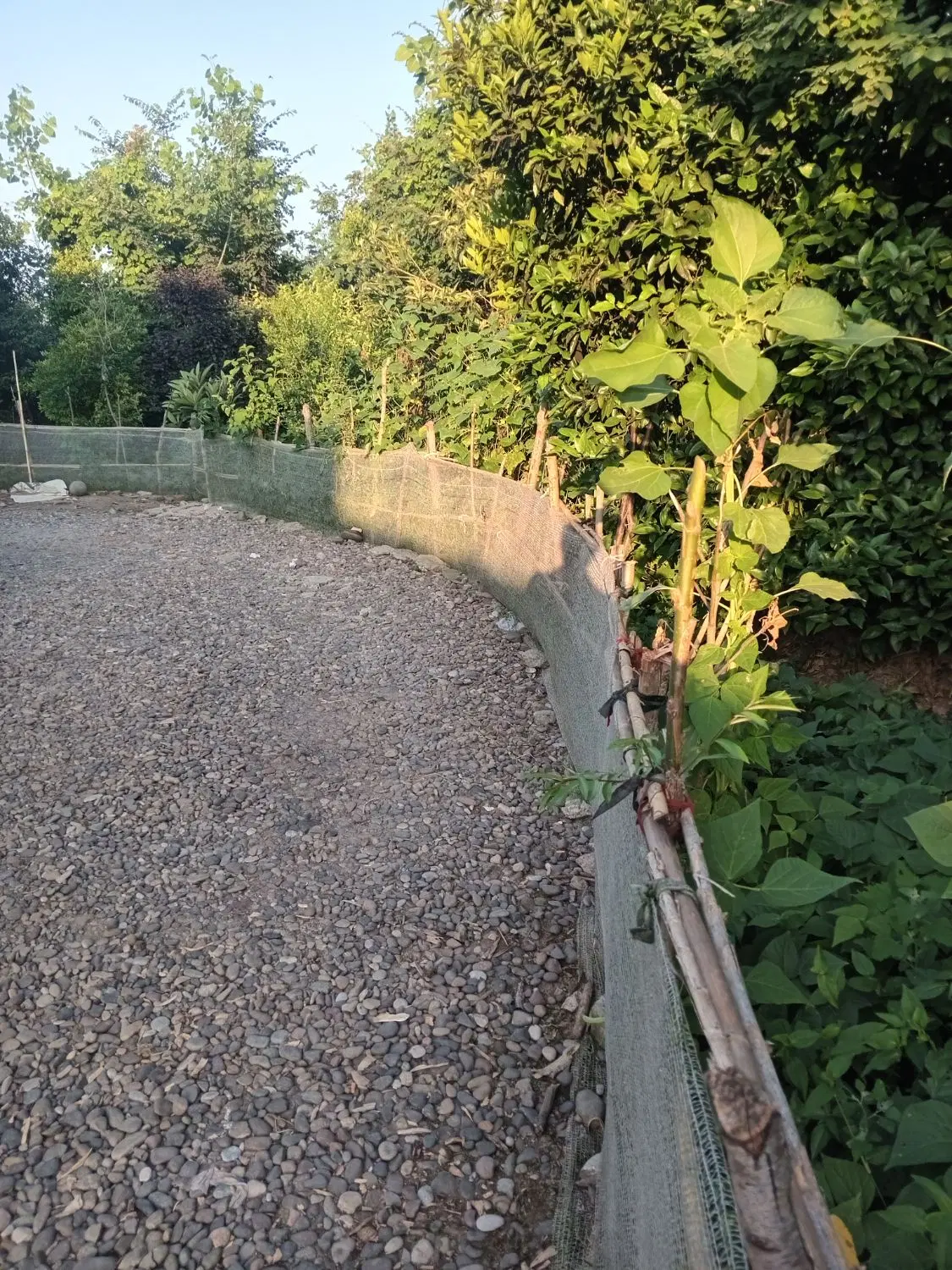 تصویر املاک 115142