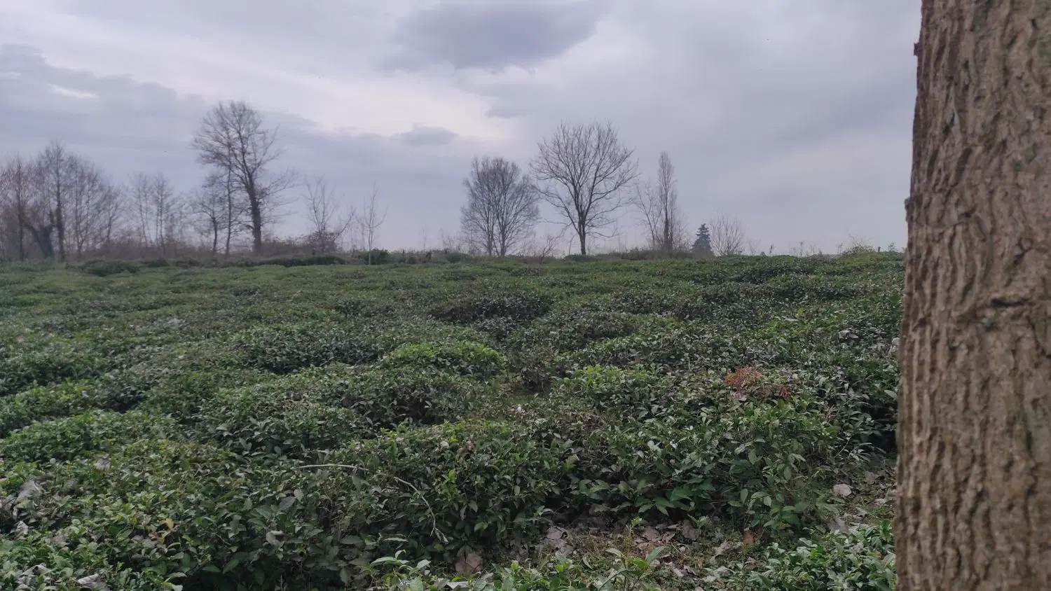 تصویر املاک 109580
