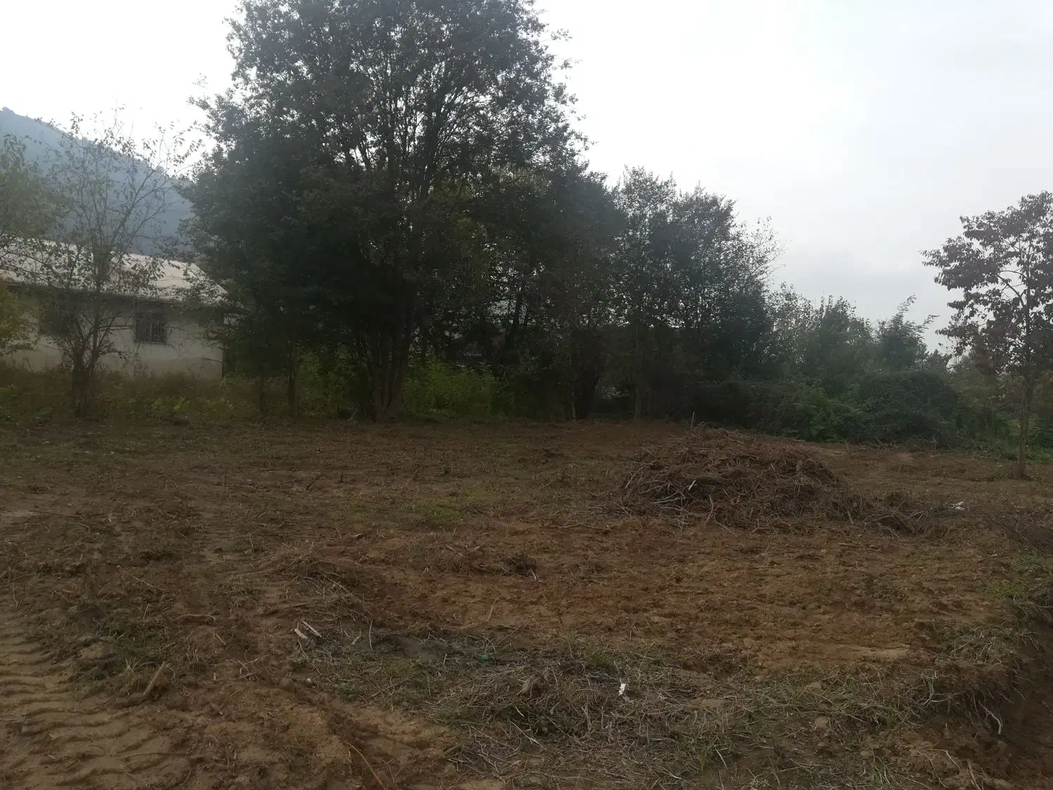 تصویر املاک 35941