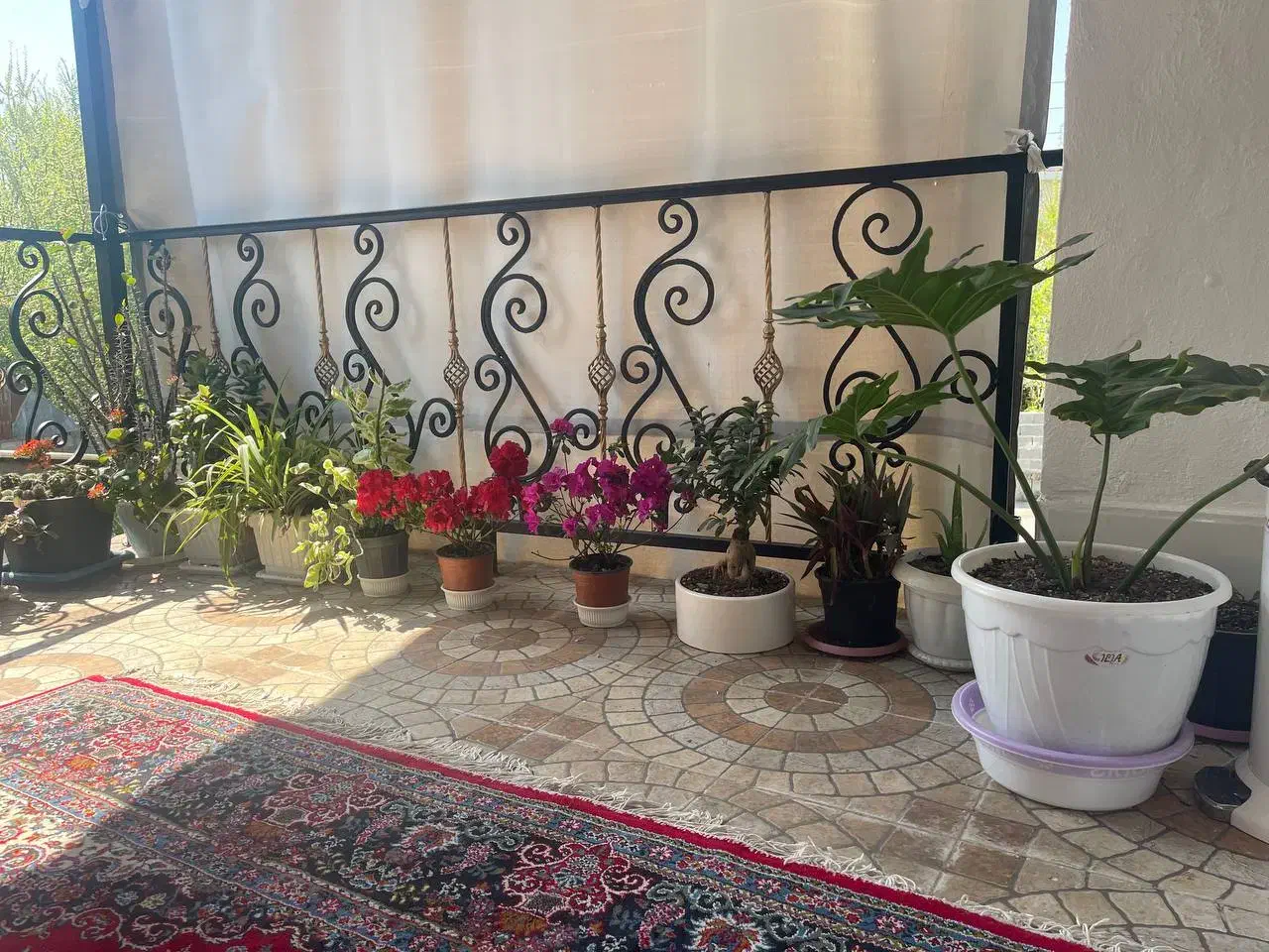 تصویر املاک 28489