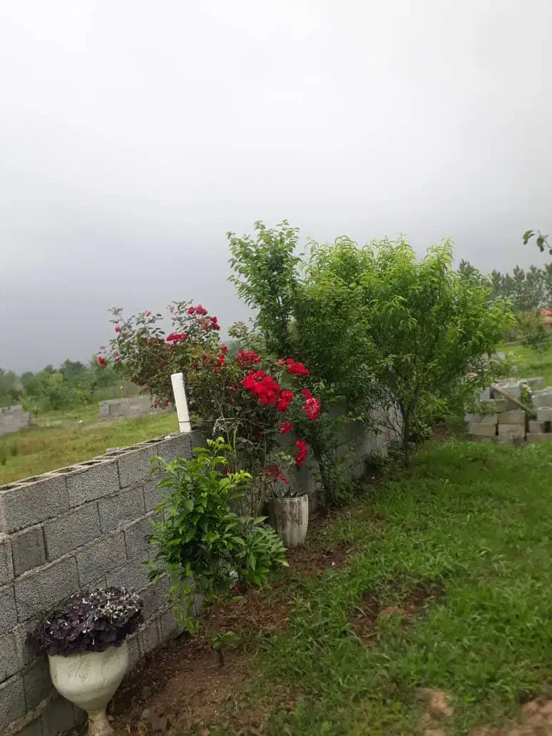 تصویر املاک 5130