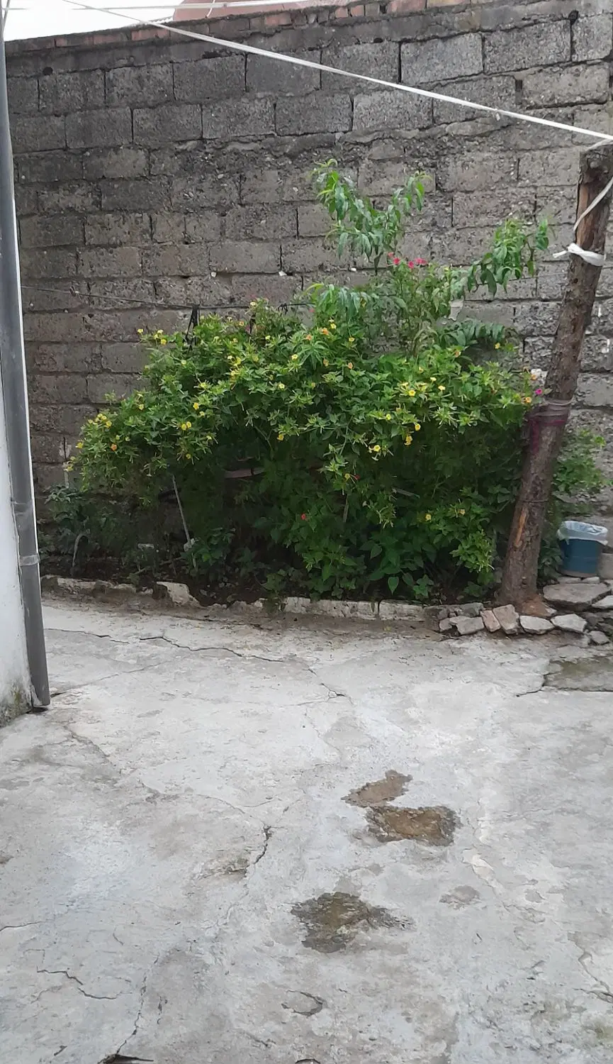 تصویر املاک 122780