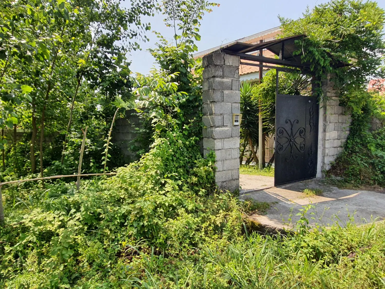 تصویر املاک 122791