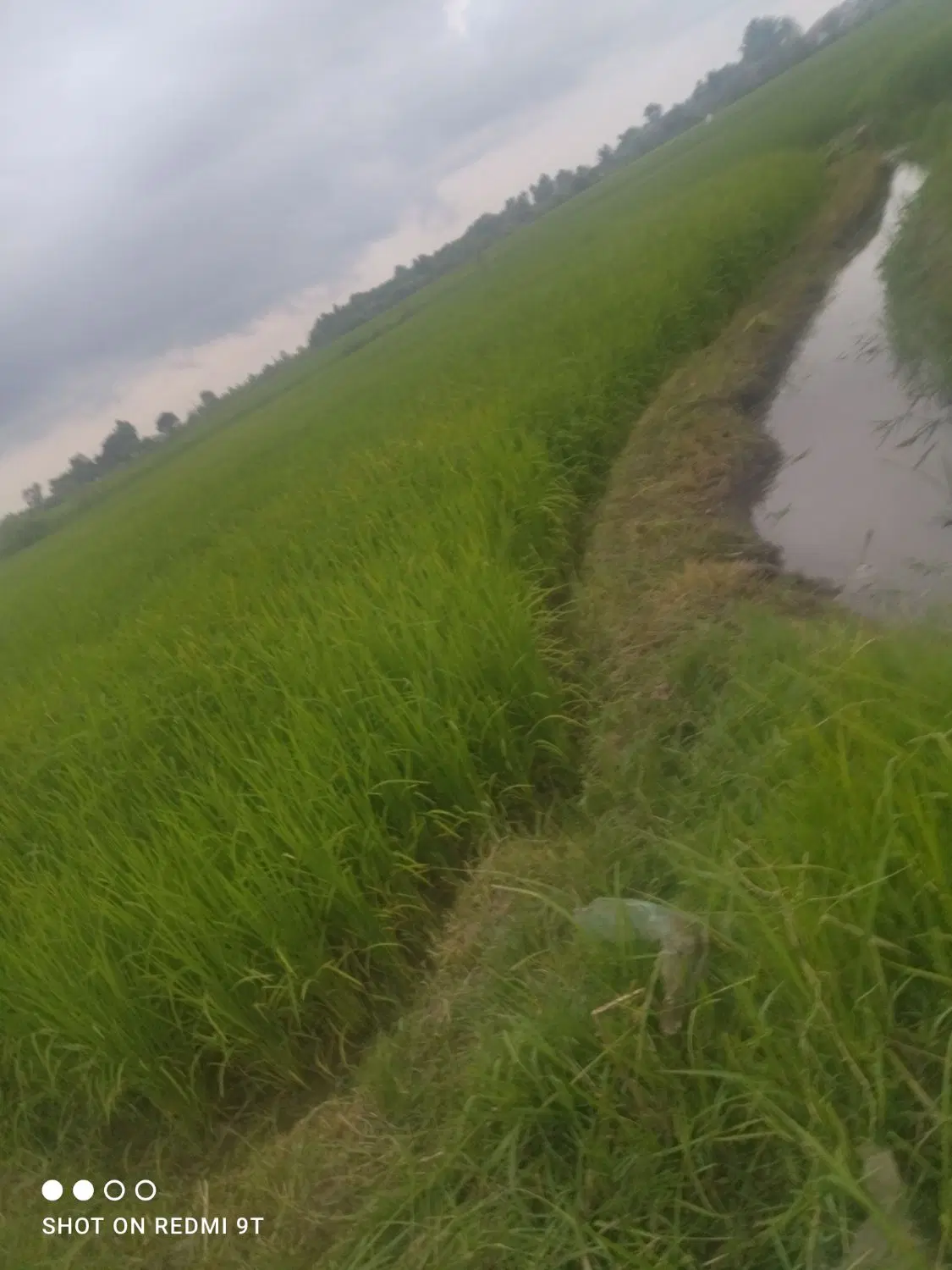 تصویر املاک 92824
