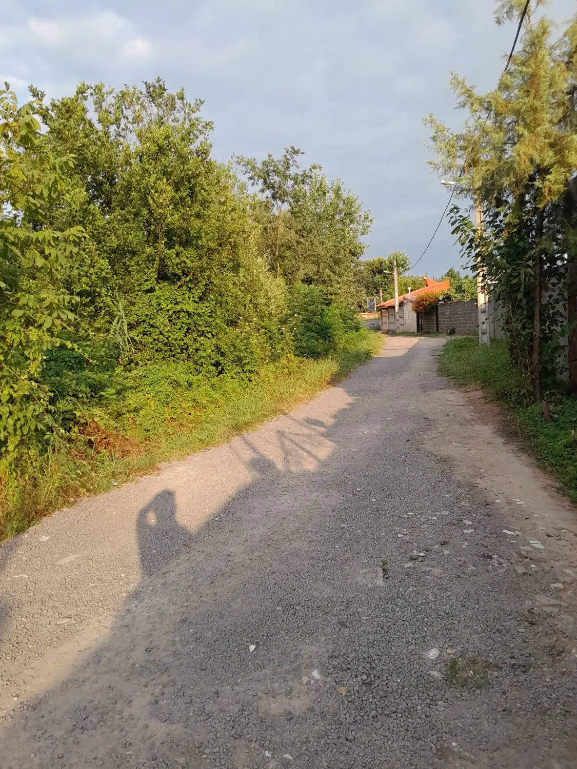 تصویر املاک 81477