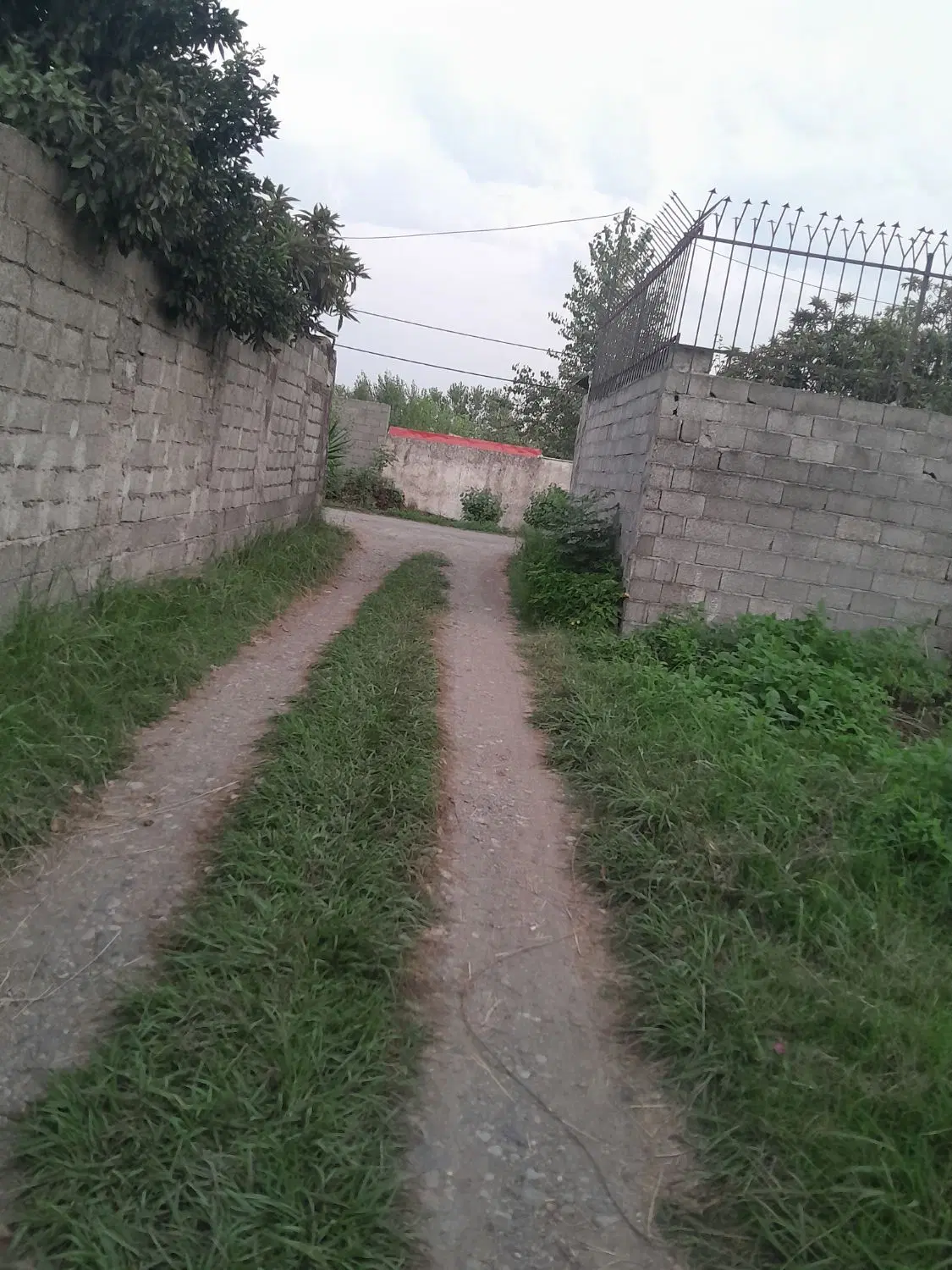 تصویر املاک 142225