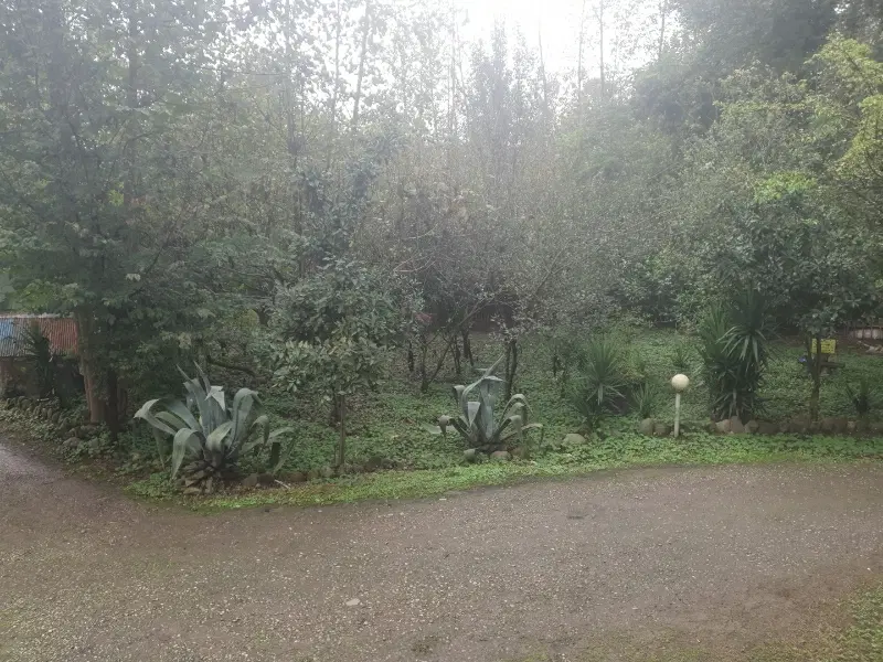 تصویر املاک 134387