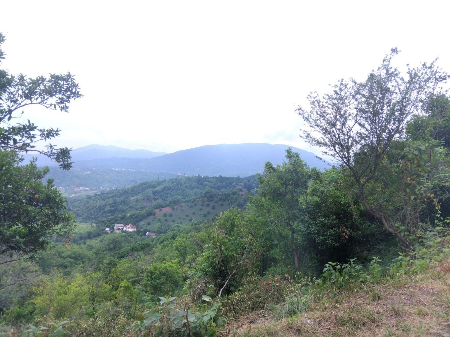 تصویر املاک 5904