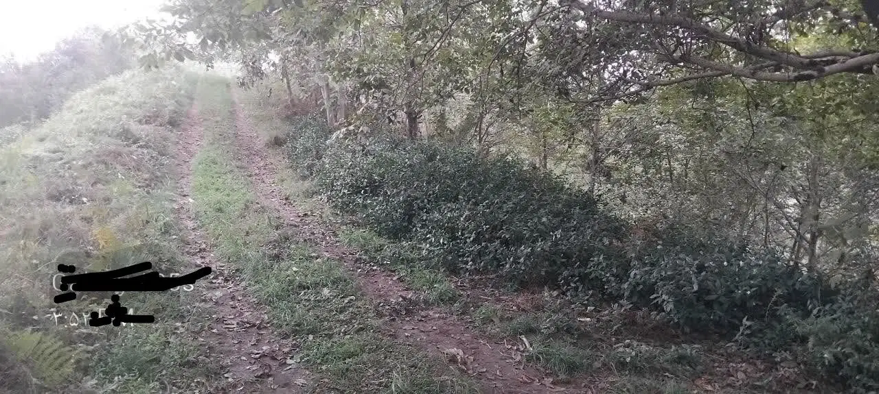 تصویر املاک 128723