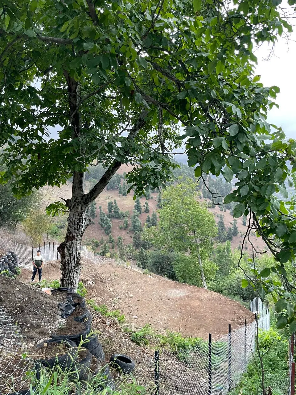 تصویر املاک 137025