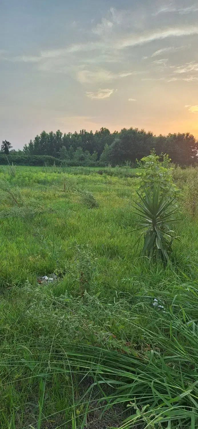 تصویر املاک 9172