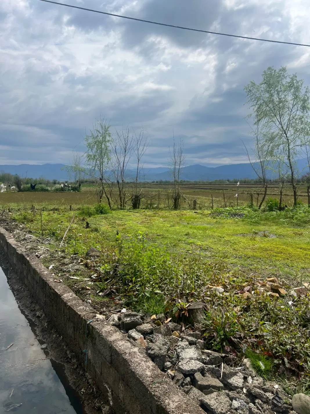 تصویر املاک 129128