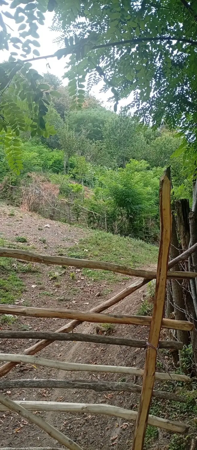 تصویر املاک 118994