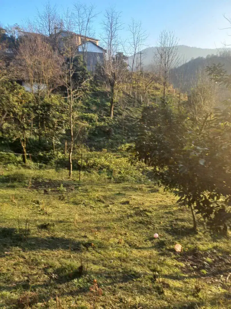 تصویر املاک 116568