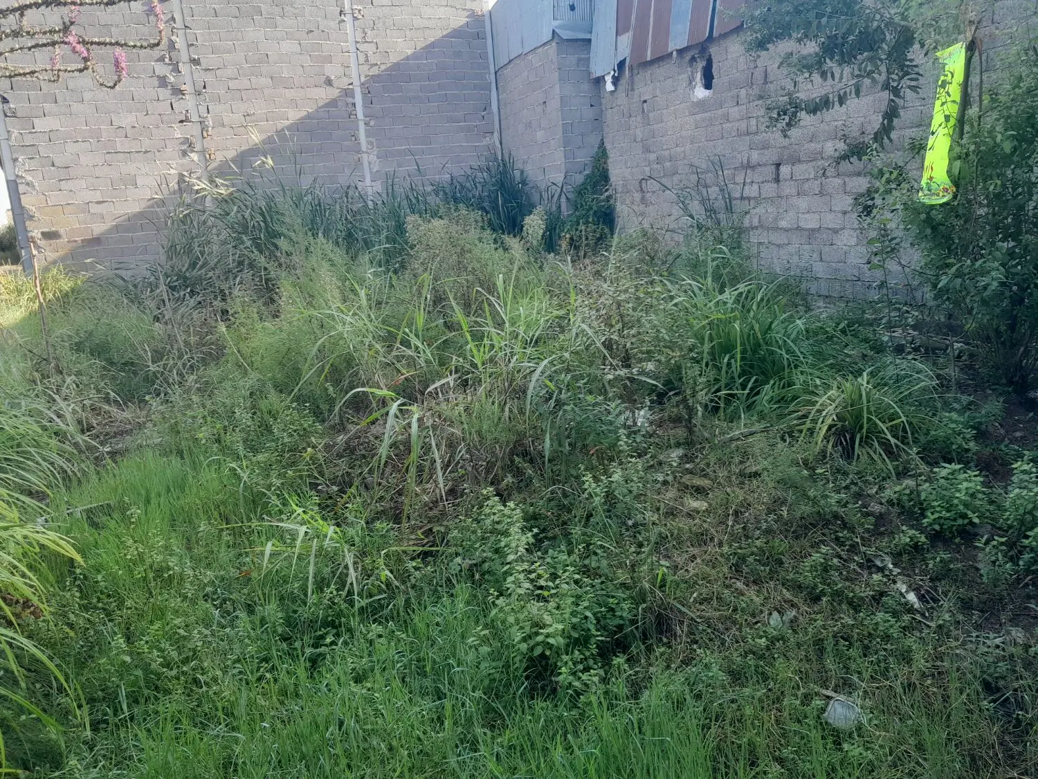 تصویر املاک 128719