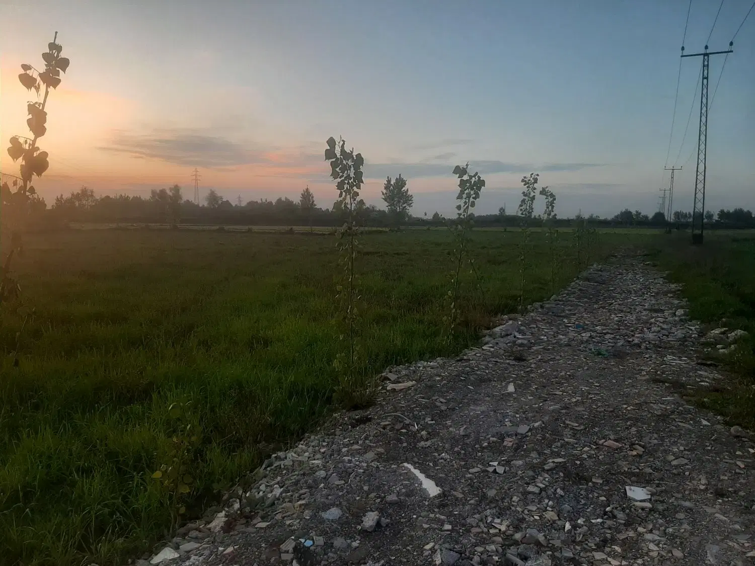 تصویر املاک 82651