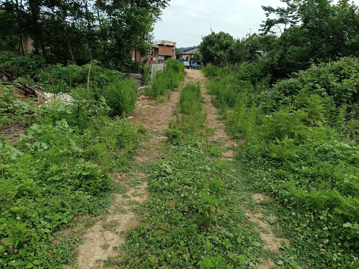 تصویر املاک 123215
