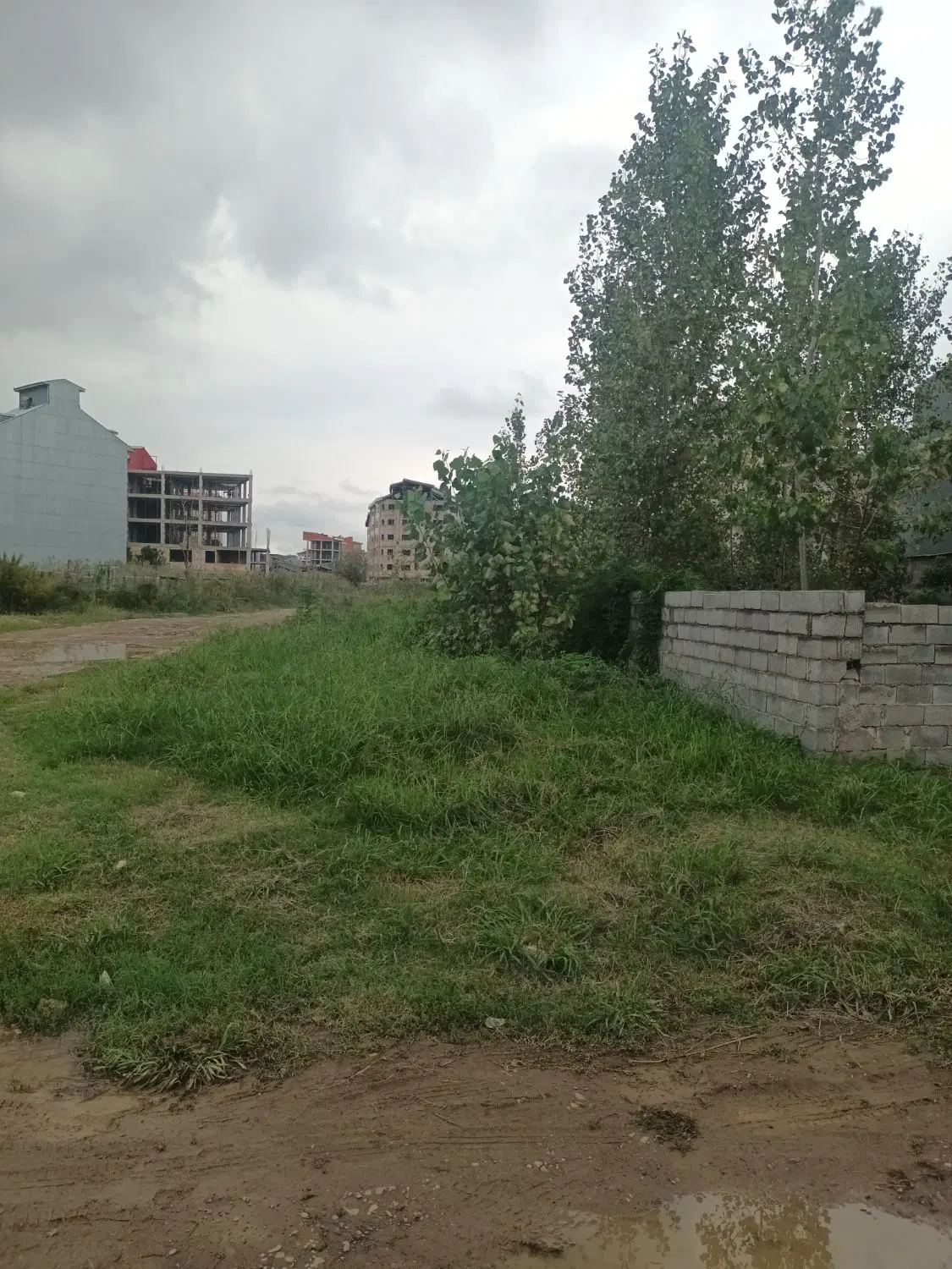 تصویر املاک 136987