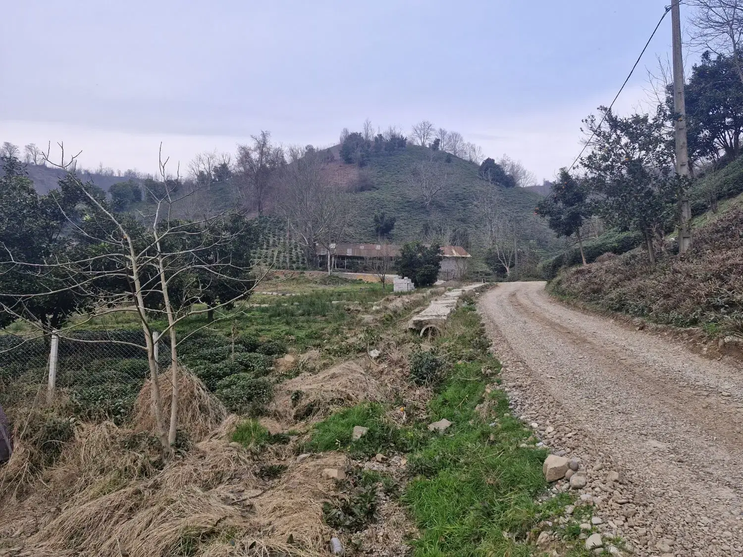 تصویر املاک 56057