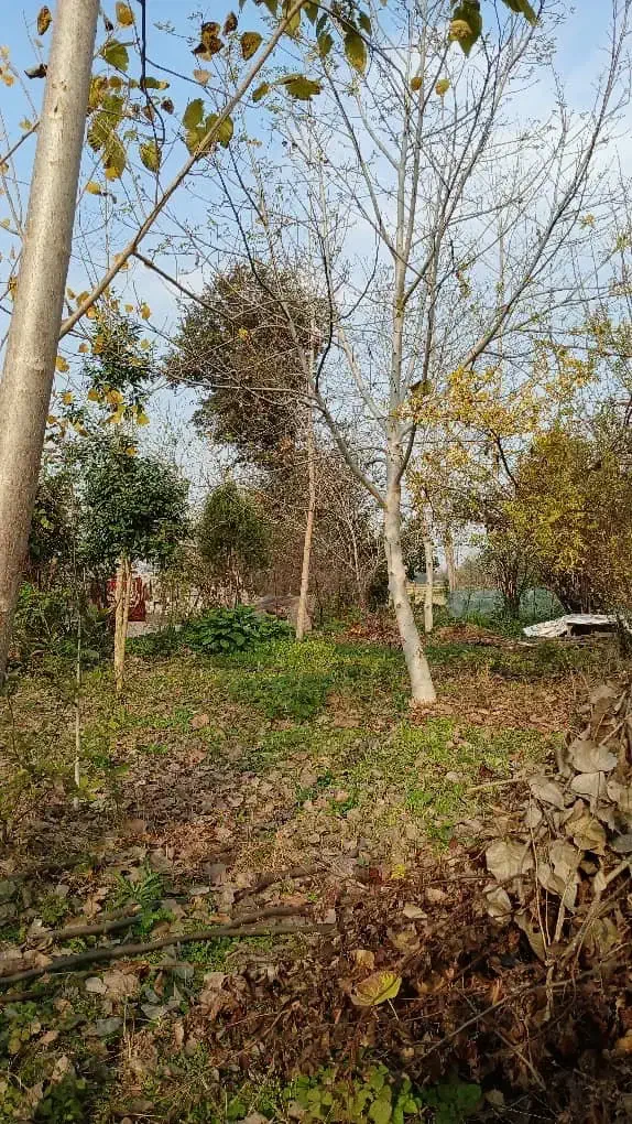 تصویر املاک 36033