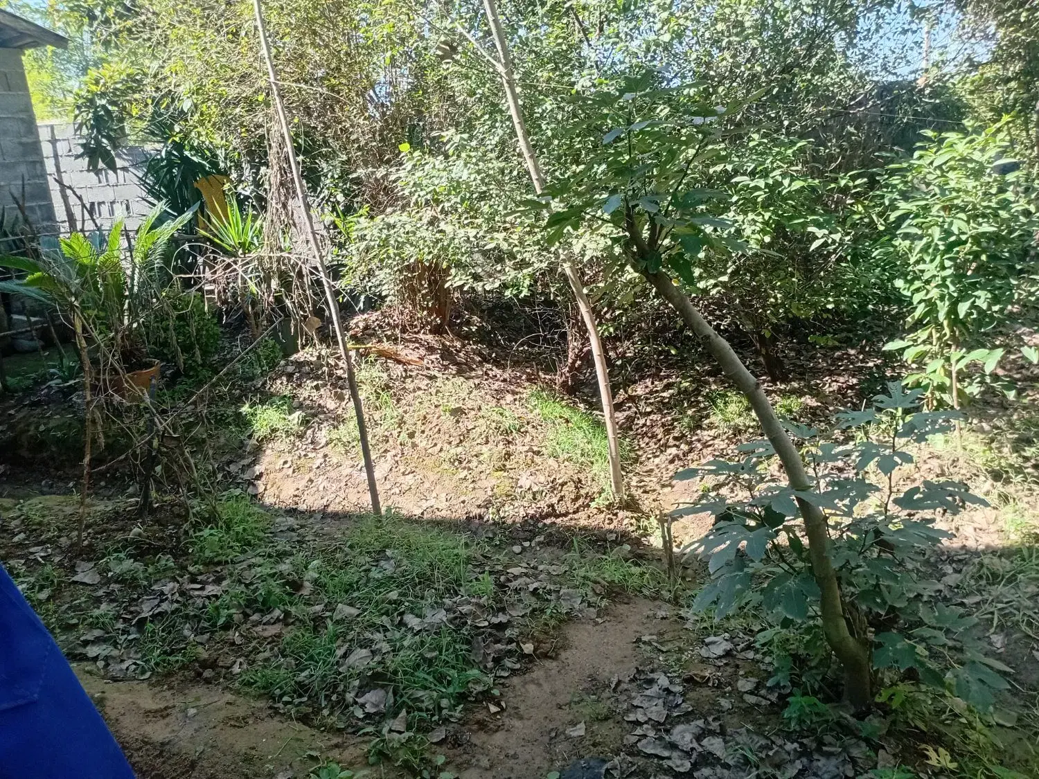 تصویر املاک 75964