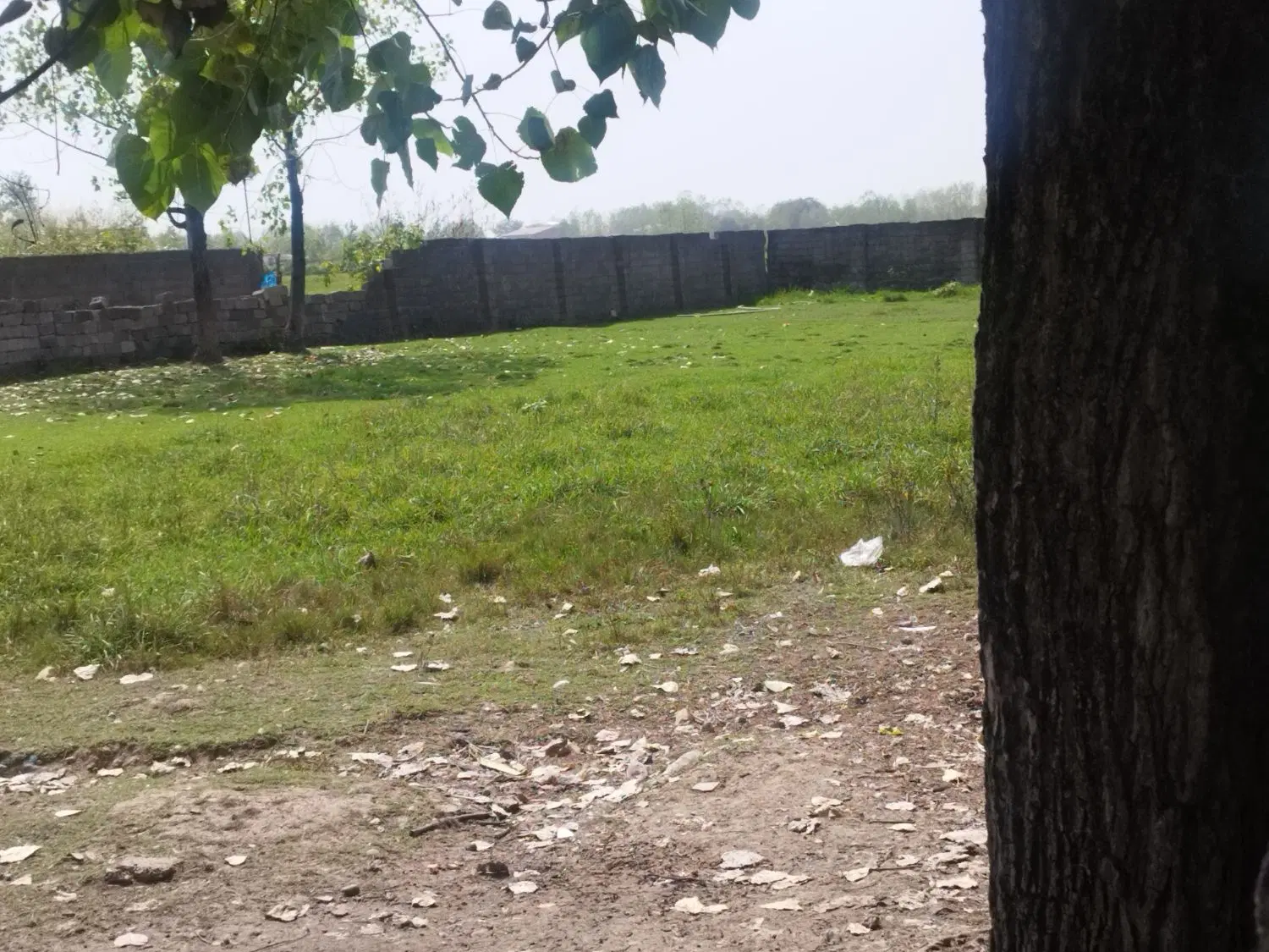 تصویر املاک 125562