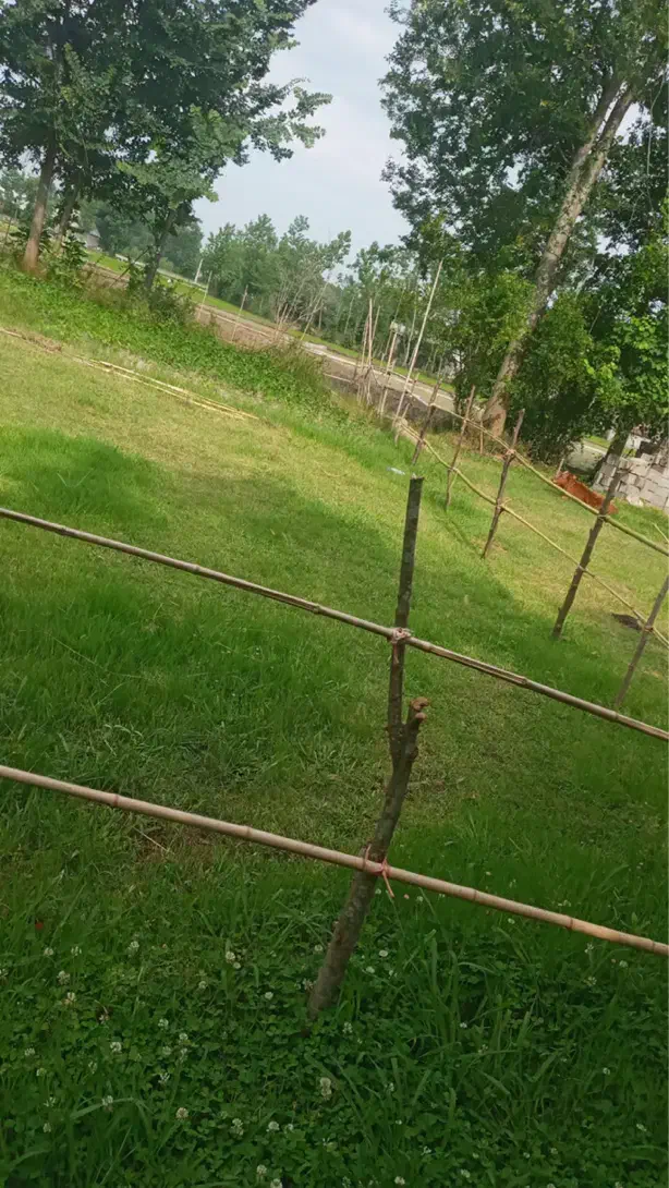 تصویر املاک 37803