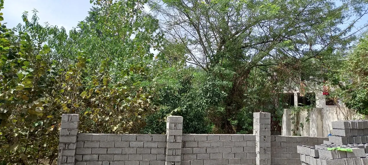 تصویر املاک 137721