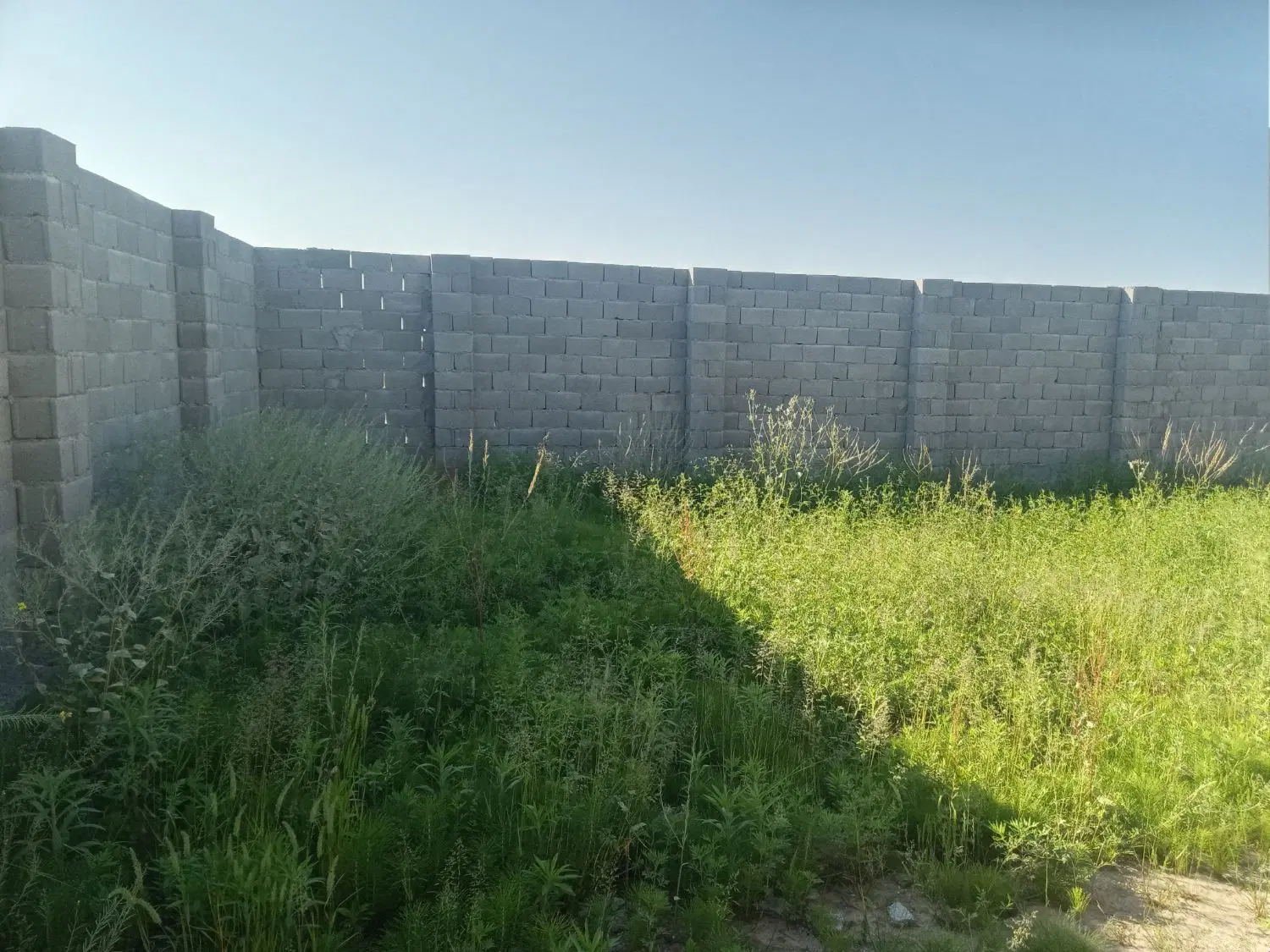 تصویر املاک 65823