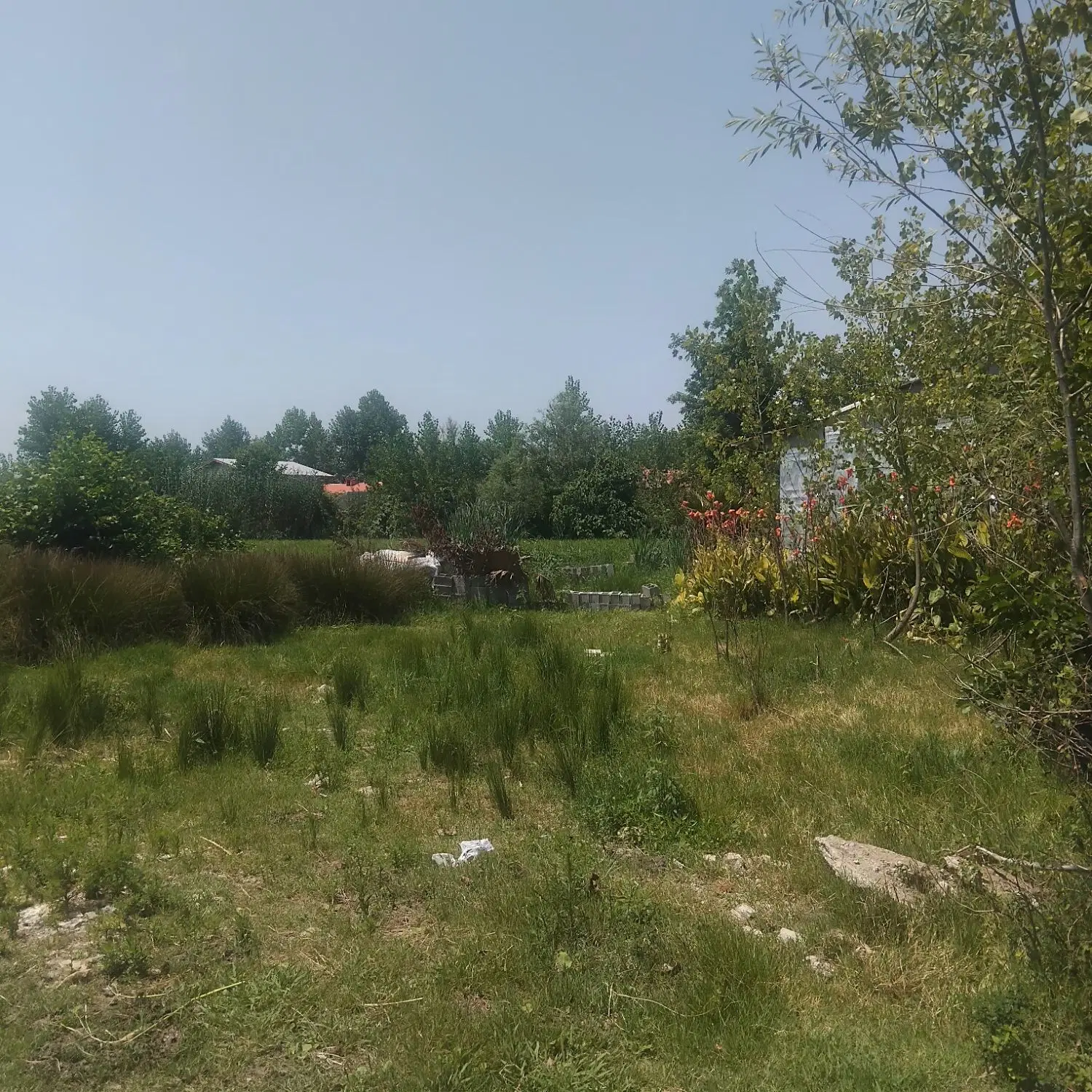 تصویر املاک 74943