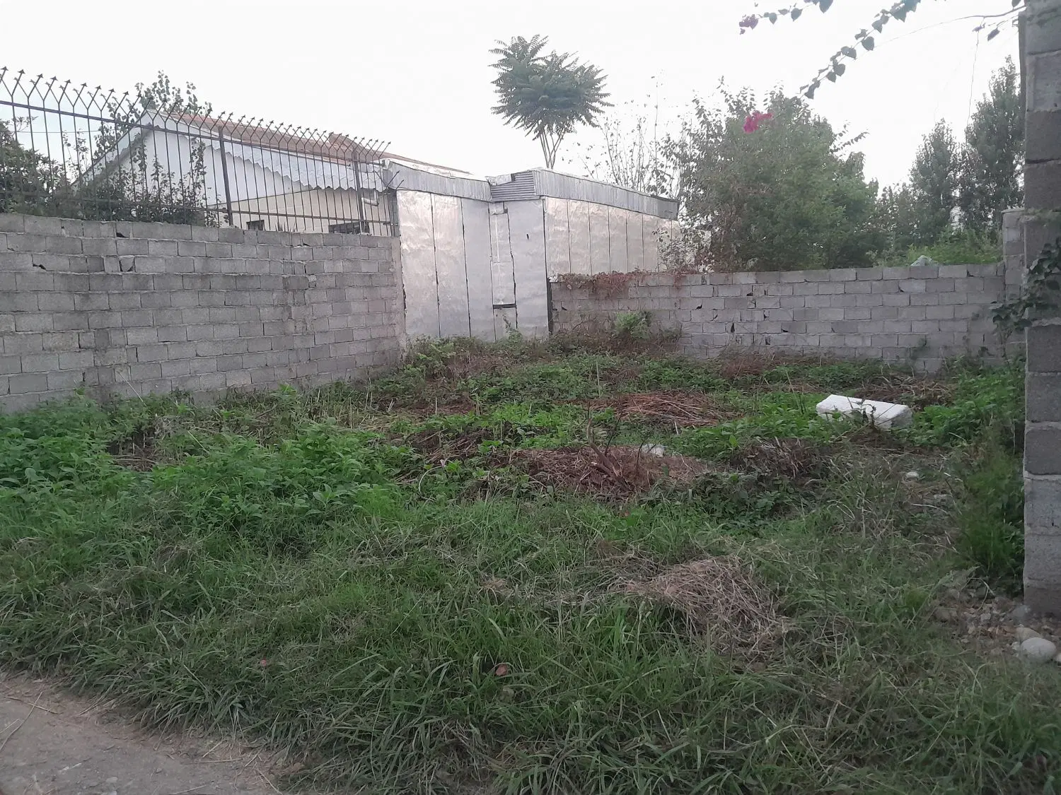 تصویر املاک 142226
