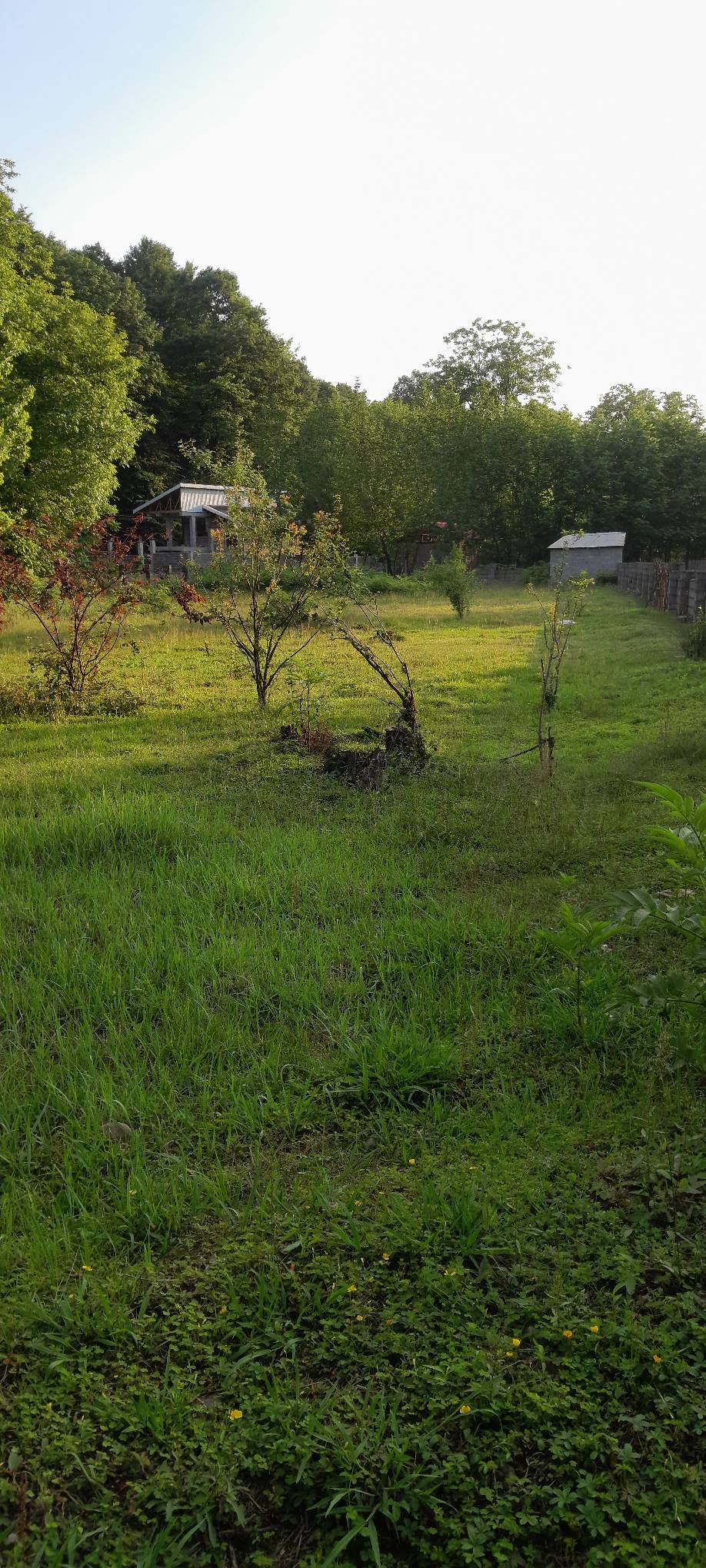 تصویر املاک 45097