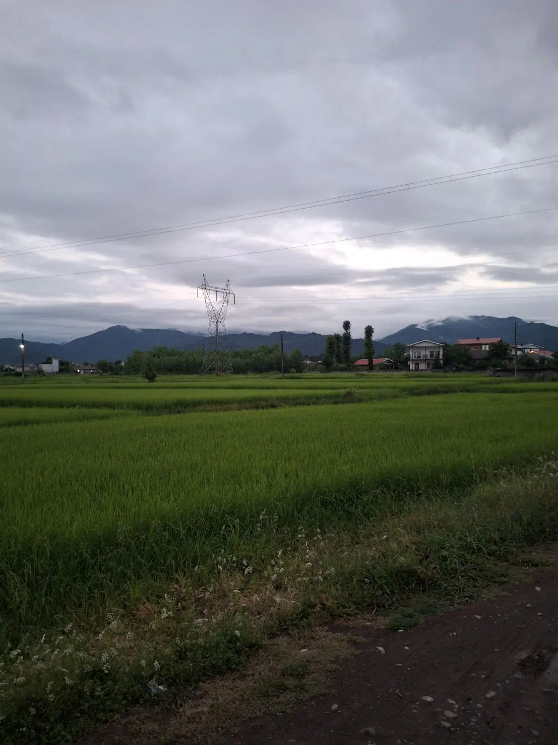 تصویر املاک 109647