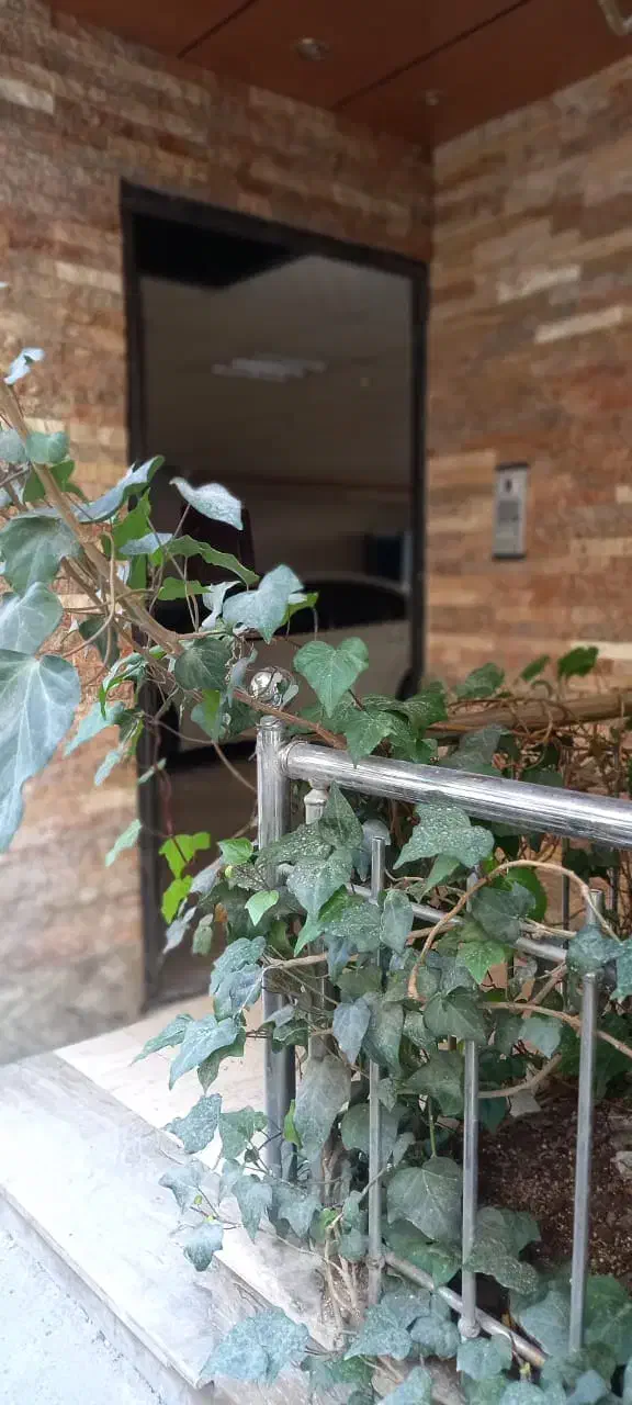 تصویر املاک 22060