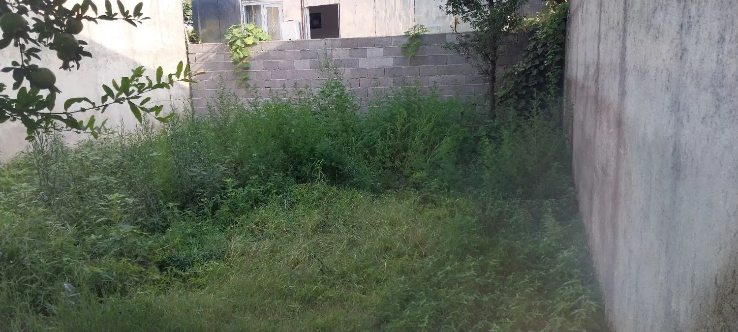 تصویر املاک 91871