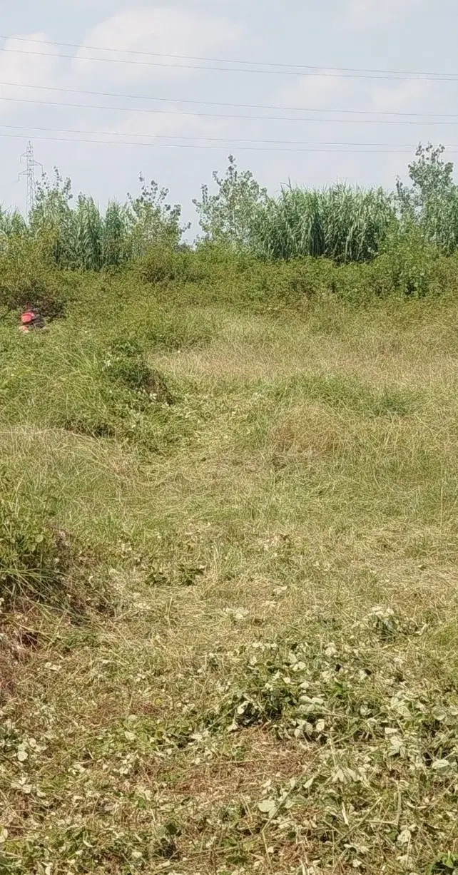 تصویر املاک 98161