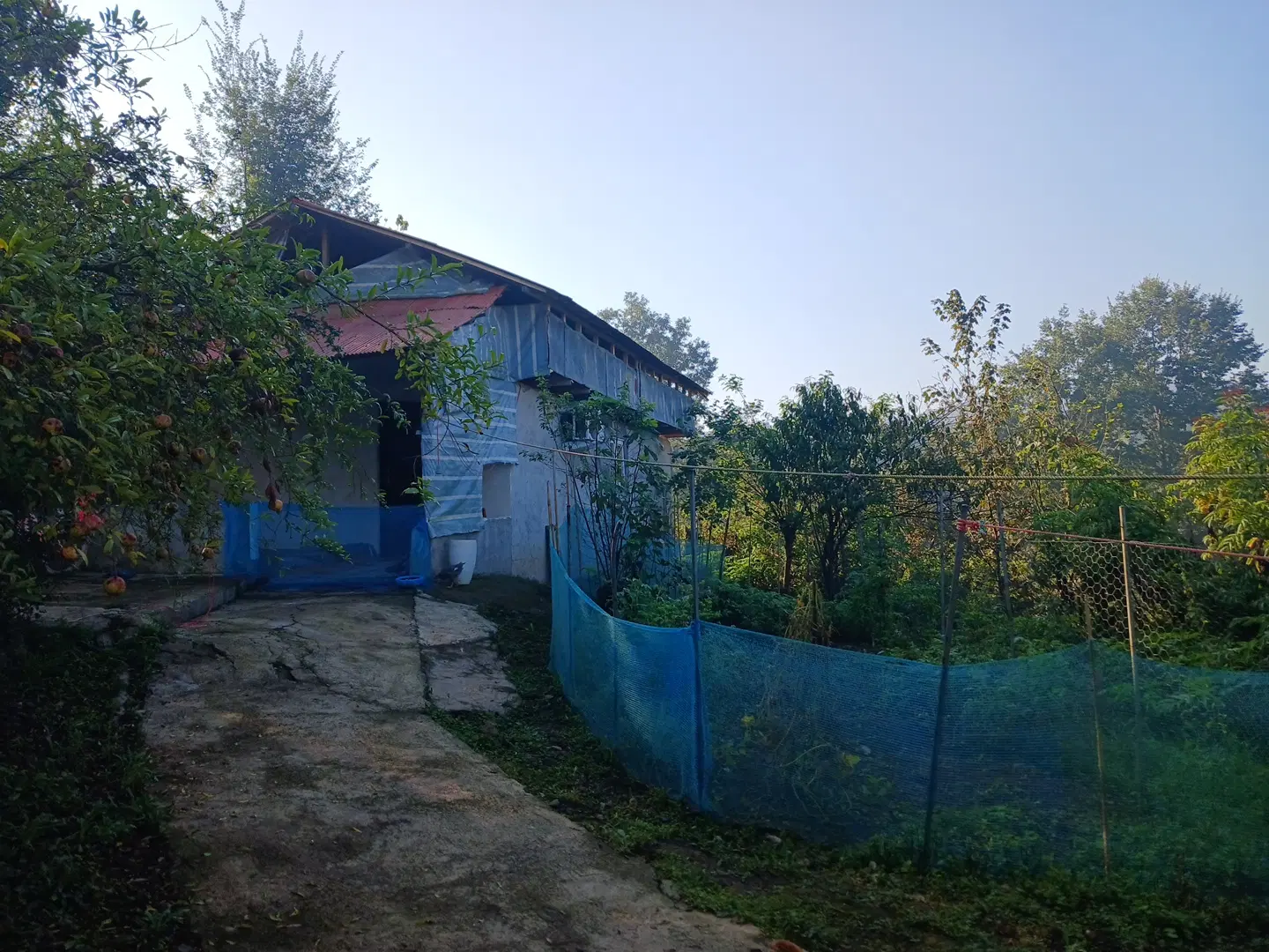 تصویر املاک 129457