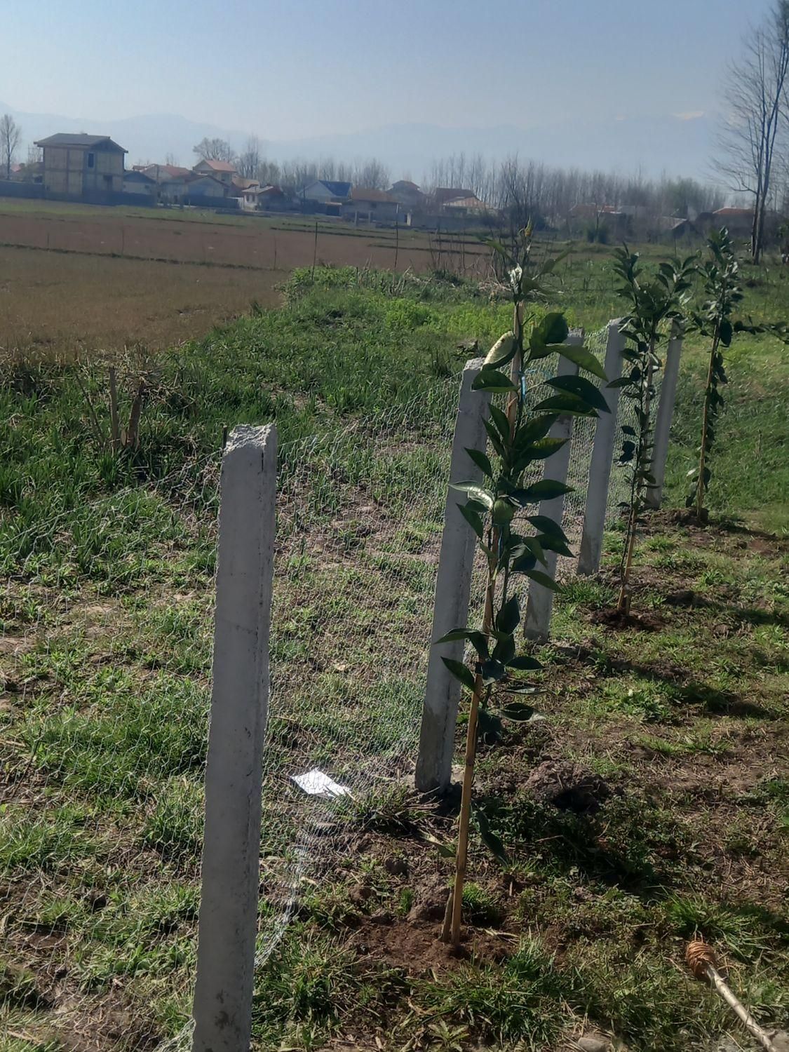 تصویر املاک 22643