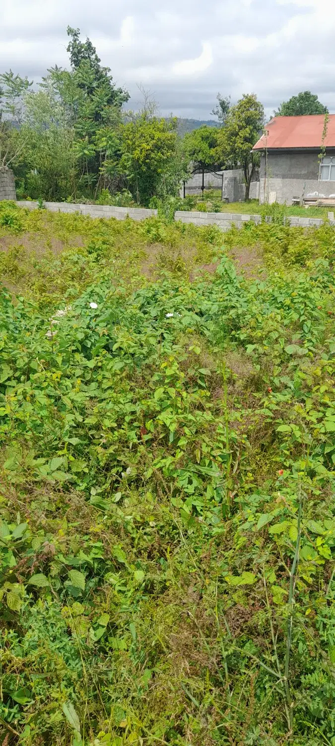 تصویر املاک 44433