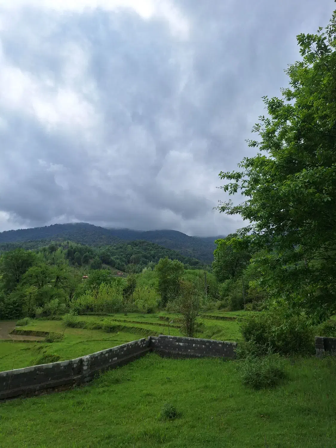 تصویر املاک 36489