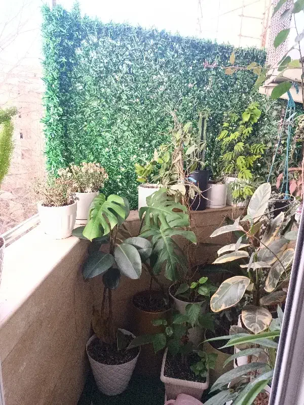 تصویر املاک 26739