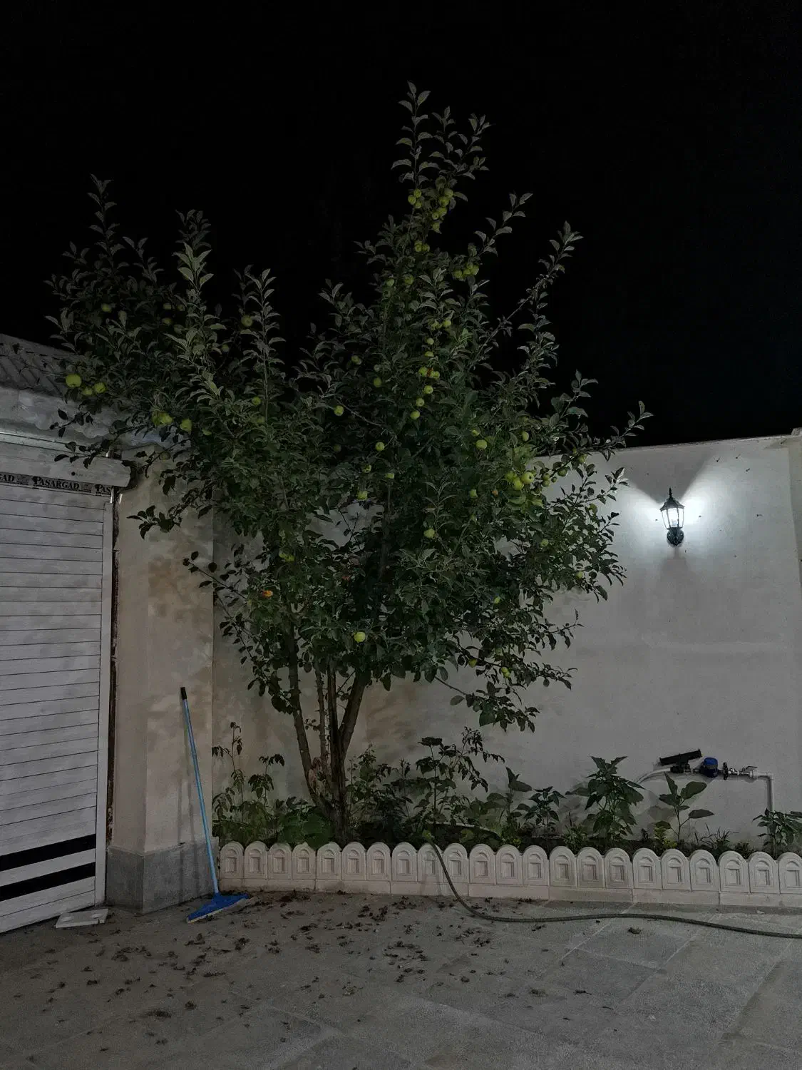 تصویر املاک 62863