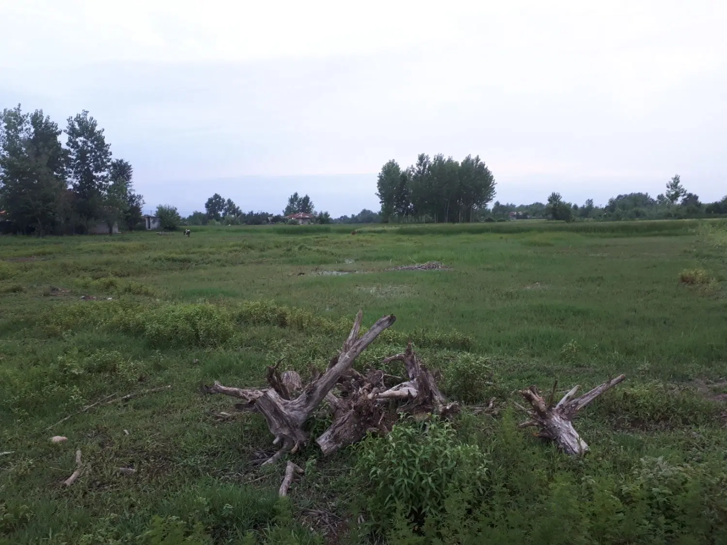 تصویر املاک 136698