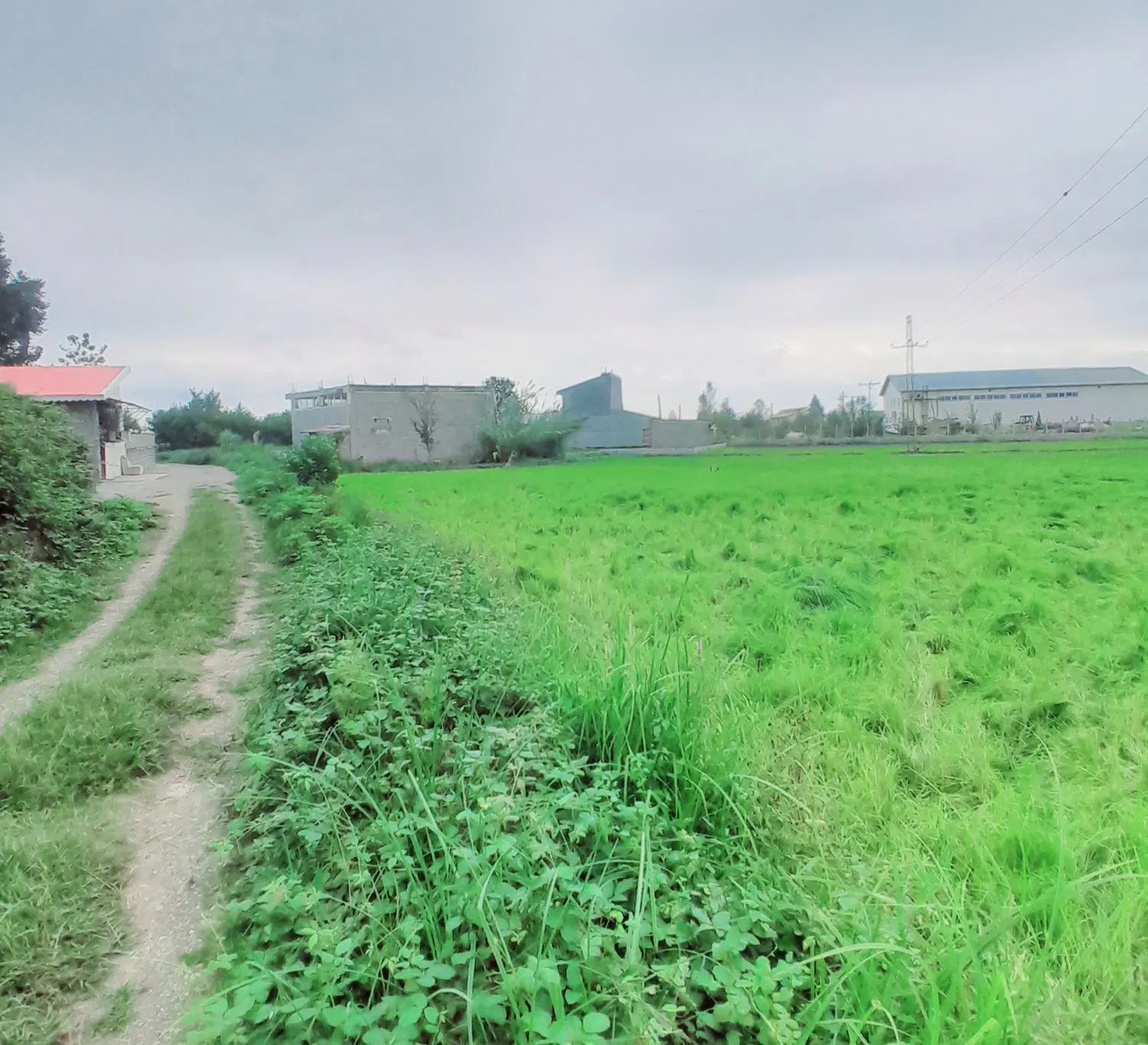 تصویر املاک 135960