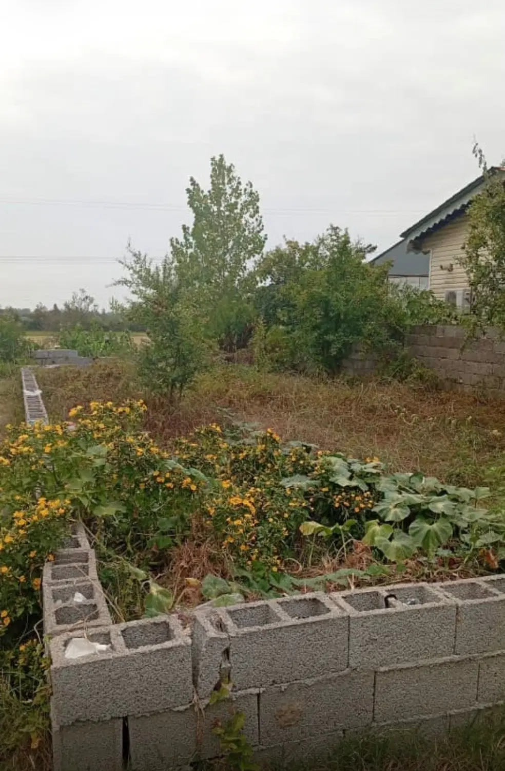 تصویر املاک 135999